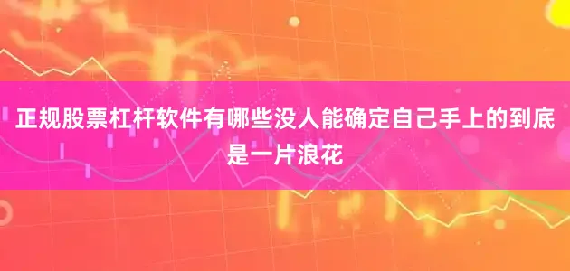 正规股票杠杆软件有哪些没人能确定自己手上的到底是一片浪花