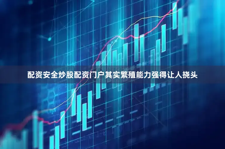 配资安全炒股配资门户其实繁殖能力强得让人挠头