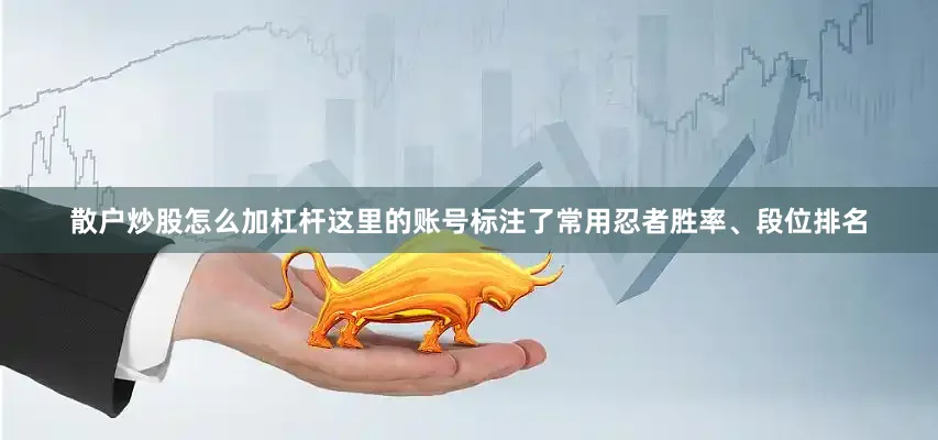 散户炒股怎么加杠杆这里的账号标注了常用忍者胜率、段位排名