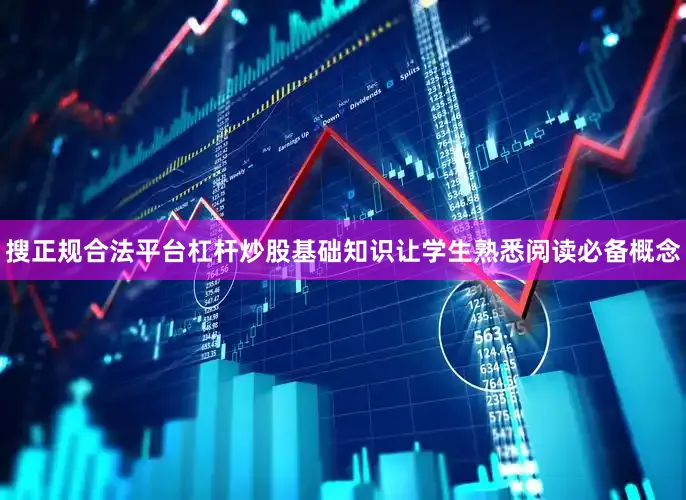 搜正规合法平台杠杆炒股基础知识让学生熟悉阅读必备概念
