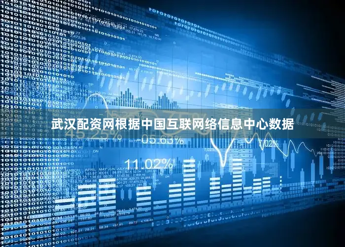 武汉配资网根据中国互联网络信息中心数据