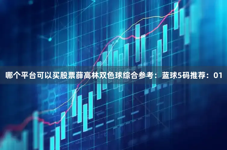 哪个平台可以买股票　　薛高林双色球综合参考：　　蓝球5码推荐：01