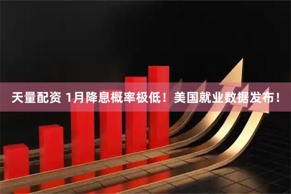 天量配资 1月降息概率极低！美国就业数据发布！